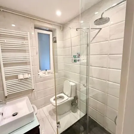 Apartment Lovely Victoriei *